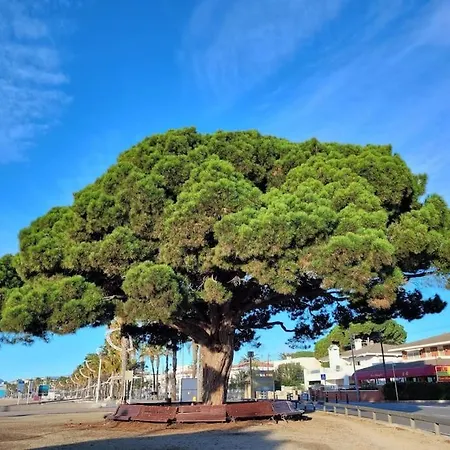 公寓 Dulces Suenos *